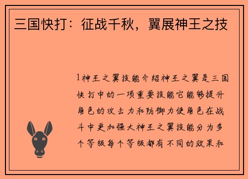 三国快打：征战千秋，翼展神王之技